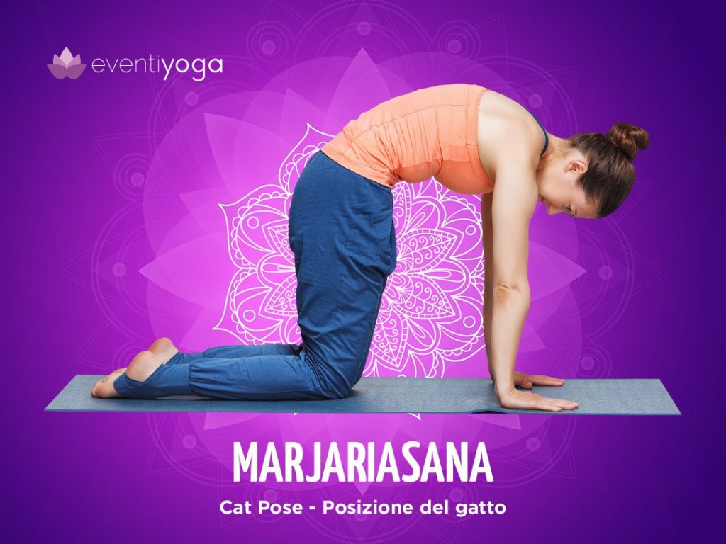 Marjariasana, posizioni yoga 