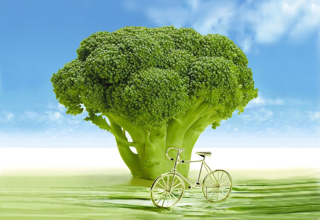 dieta vegana