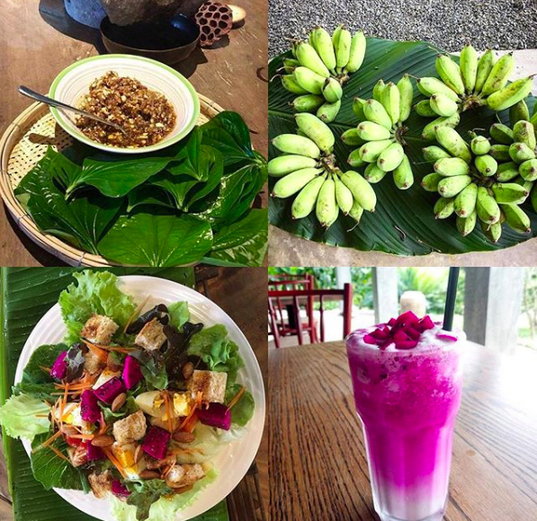 Screenshot_2018-10-02 Govinda Farm ( thegovindafarm) • Foto e video di Instagram(1) copia Spiritual Recharge di Capodanno in Thailandia