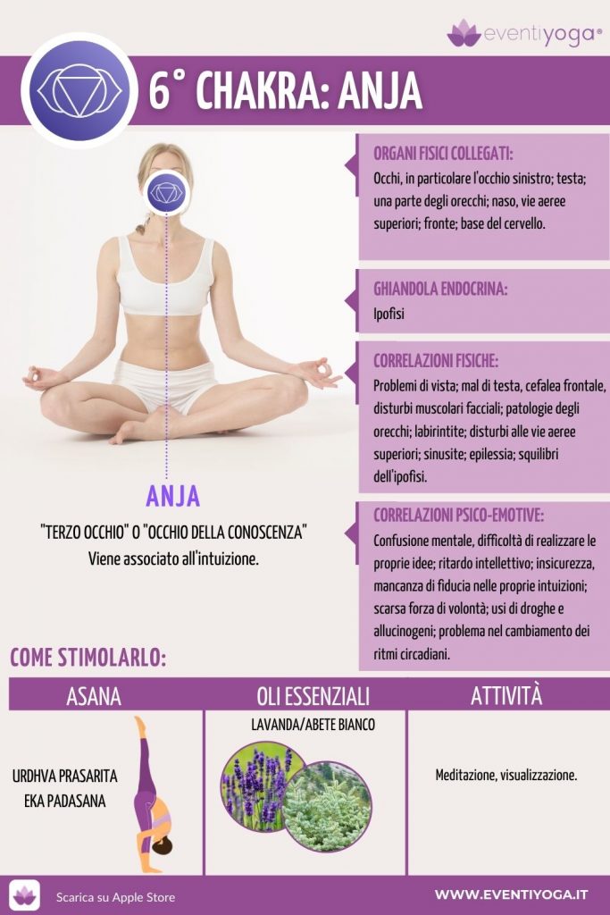 6 CHAKRA ANJA