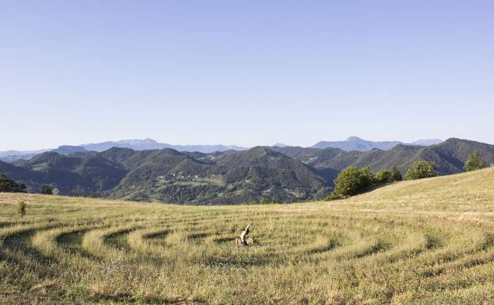 Vacanza yoga agosto in natura 
