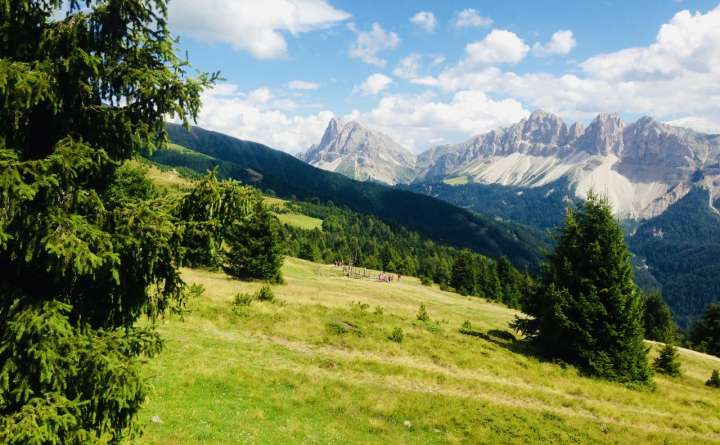 Vacanze yoga agosto Bressanone